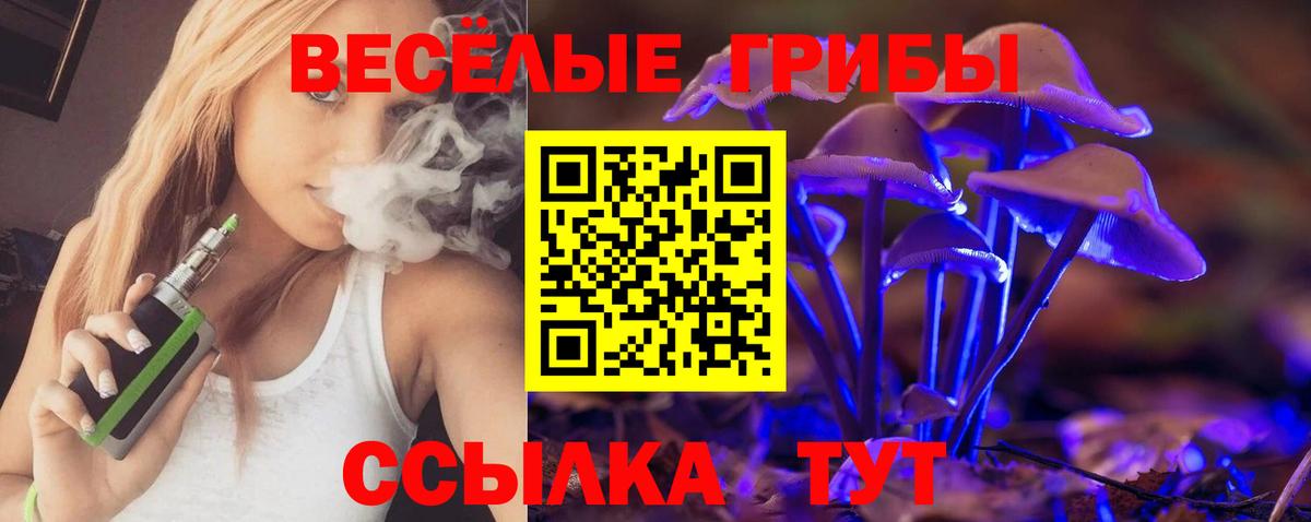Псилоцибиновые грибы MAGIC MUSHROOMS Приморско-Ахтарск